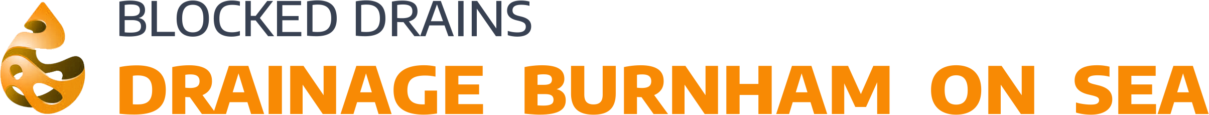 website logo